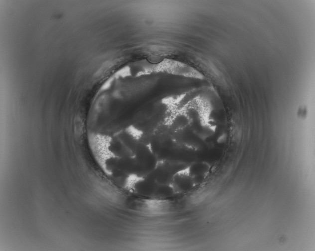 X0000090710371200708171911