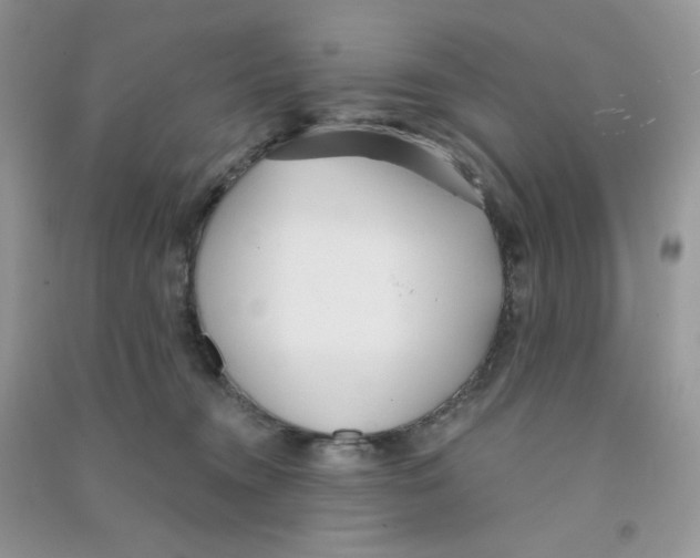 X0000090710372200708171911