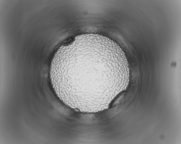 X0000090710374200708171911