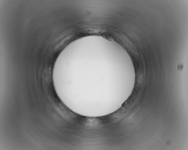 X0000090710376200708171911