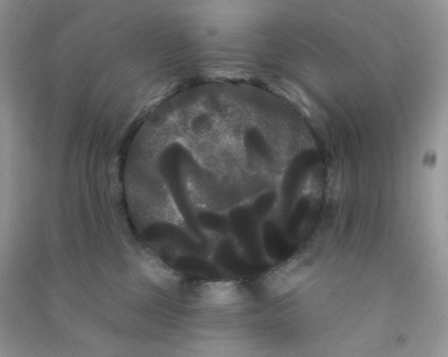 X0000090710377200708171911