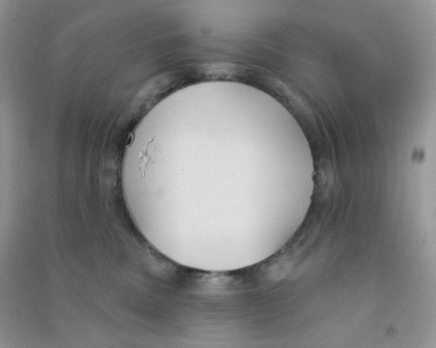 X0000090710379200708171911