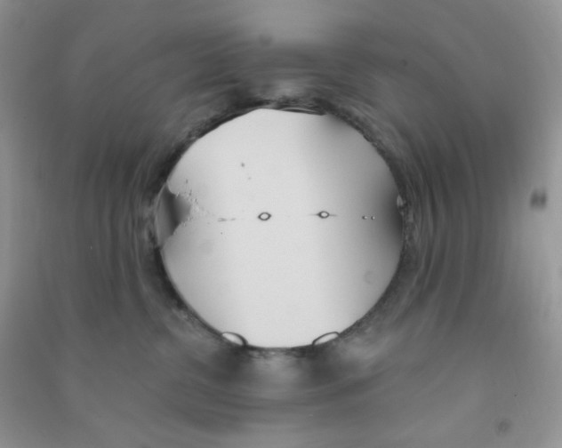 X0000090710380200708171911