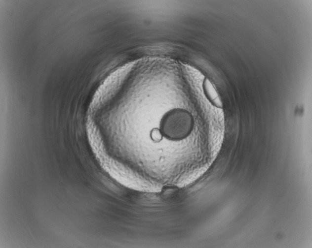 X0000090710381200708171911