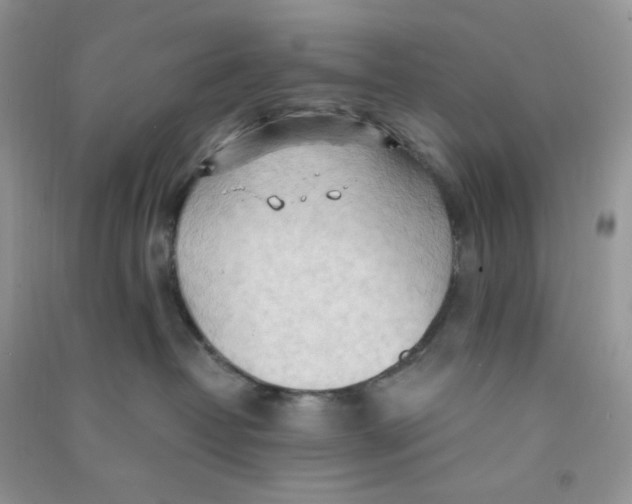 X0000090710382200708171911