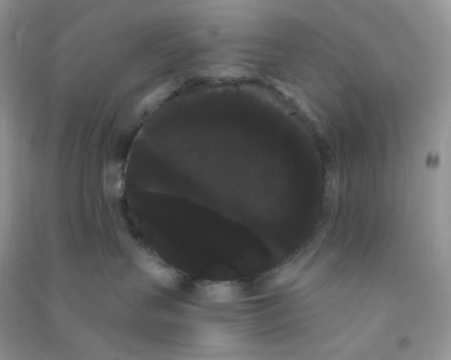 X0000090710383200708171911