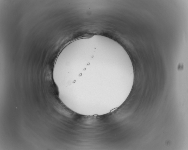 X0000090710384200708171911