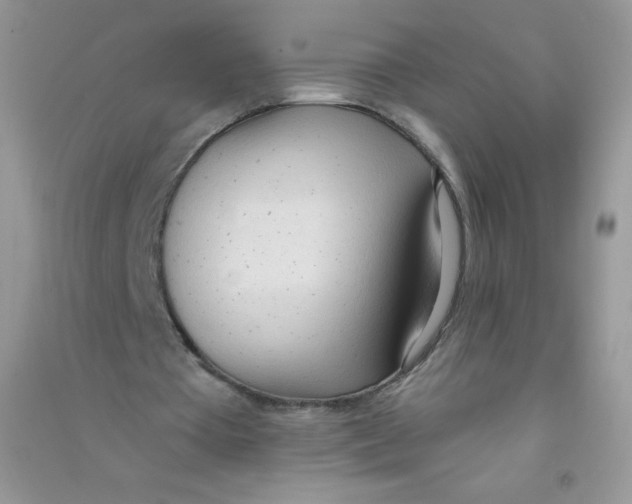 X0000090710385200708171911