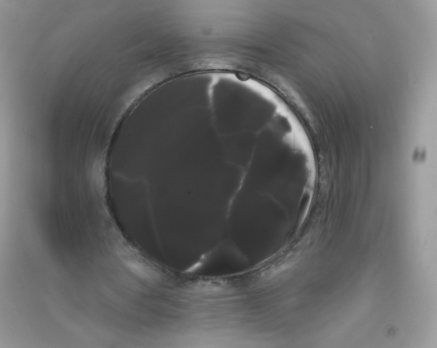 X0000090710386200708171911