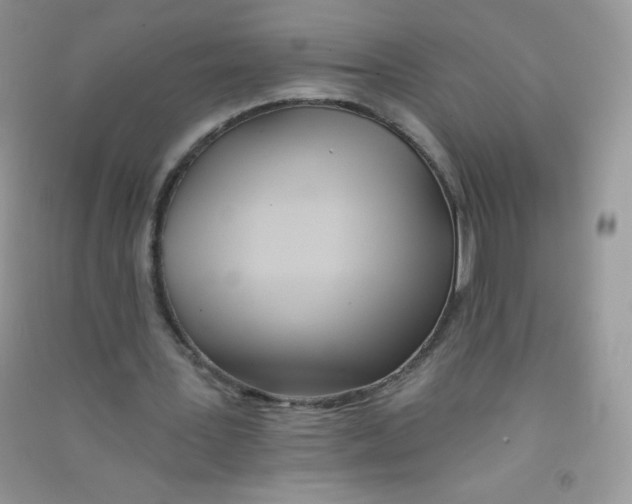 X0000090710387200708171911