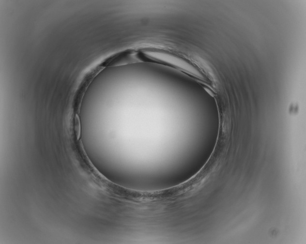 X0000090710388200708171910