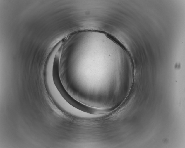 X0000090710389200708171910