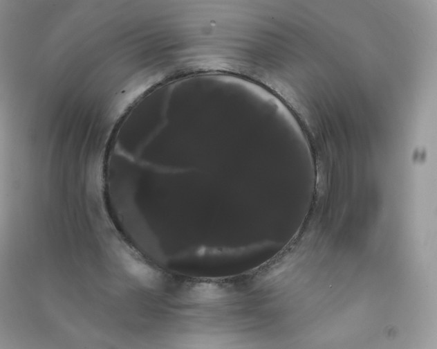 X0000090710390200708171910