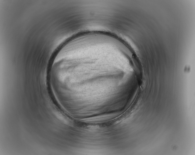 X0000090710391200708171910