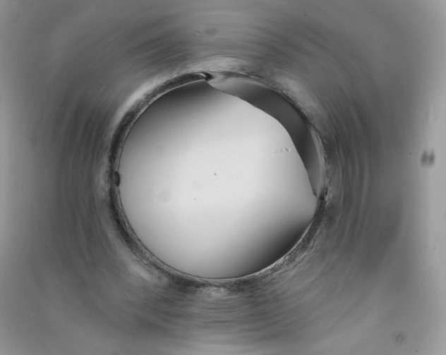 X0000090710392200708171910