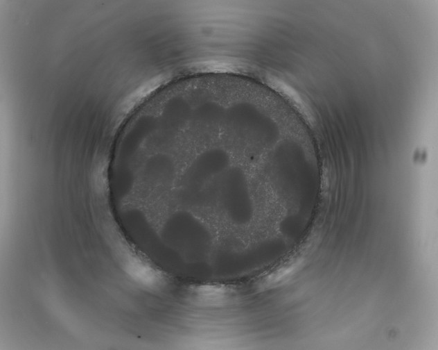 X0000090710394200708171910