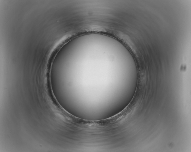 X0000090710395200708171910