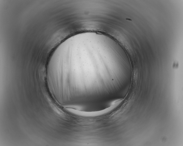 X0000090710397200708171910