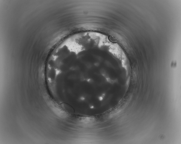 X0000090710398200708171910