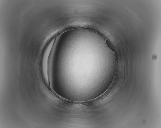 X0000090710399200708171910