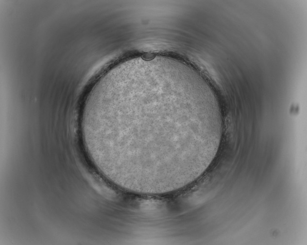 X0000090710400200708171910