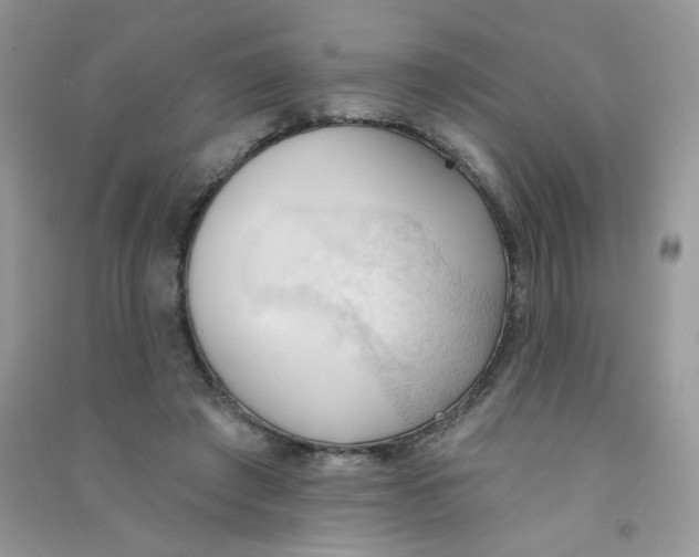 X0000090710401200708171910