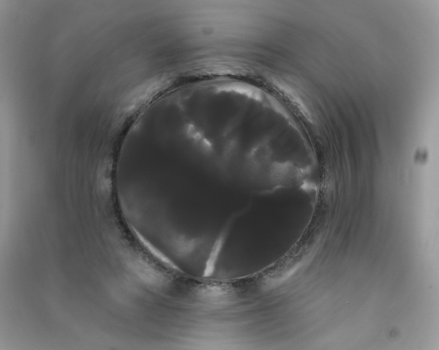 X0000090710402200708171910