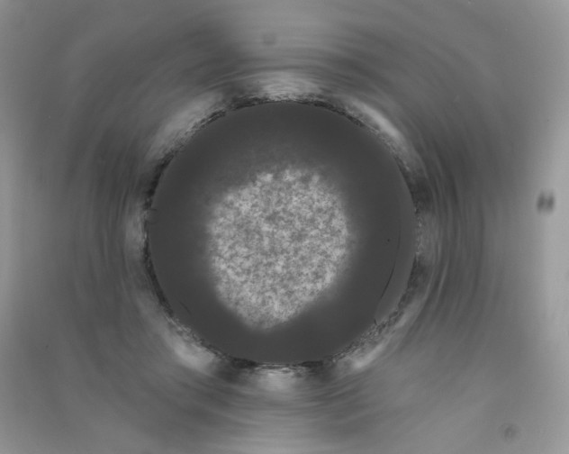 X0000090710405200708171910