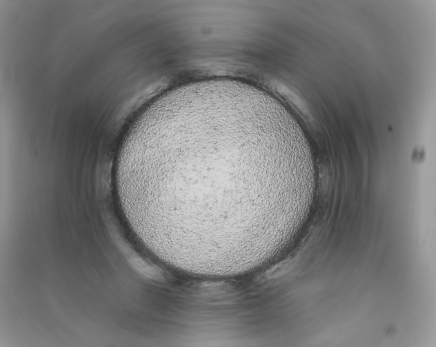 X0000090710406200708171910