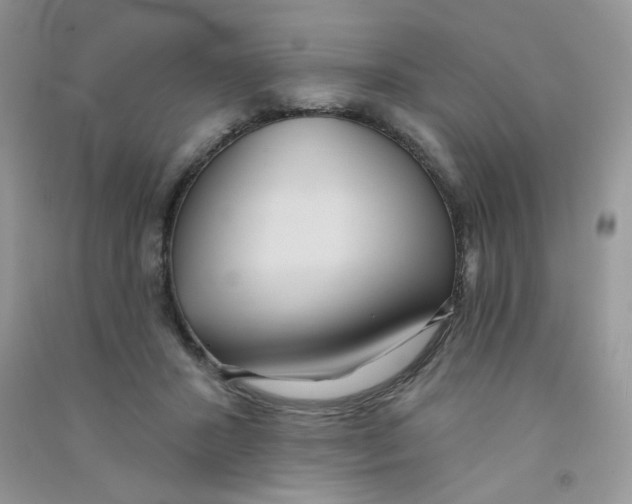 X0000090710407200708171910