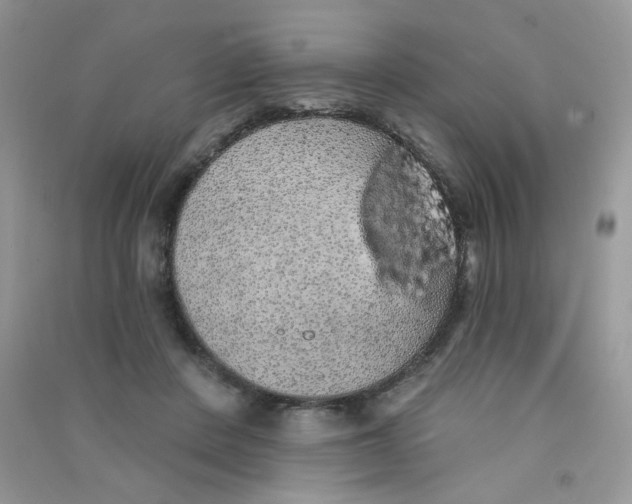 X0000090710408200708171910