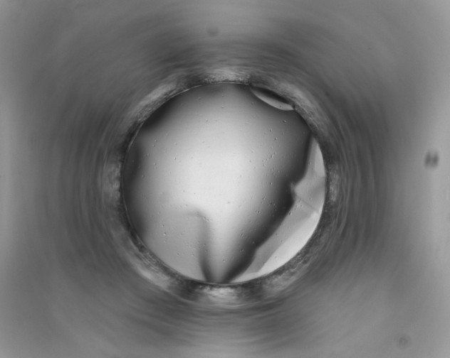 X0000090710409200708171910