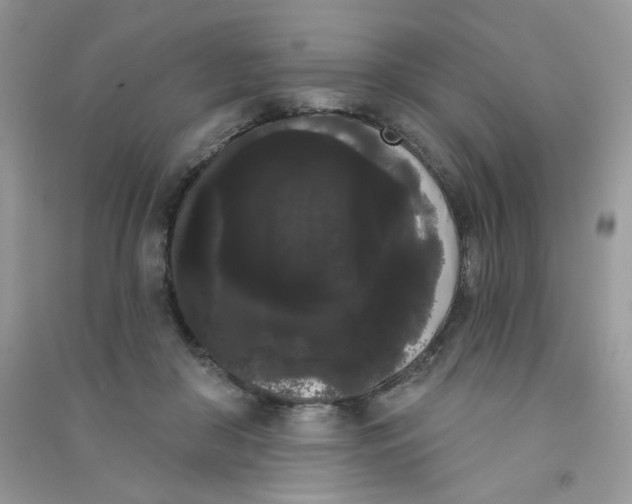 X0000090710410200708171910