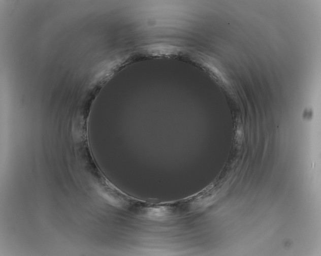 X0000090710411200708171910