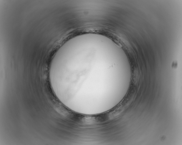 X0000090710413200708171910