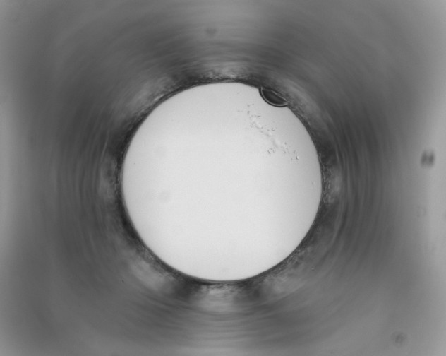 X0000090710414200708171910