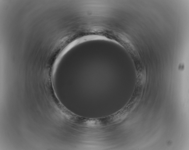 X0000090710415200708171910