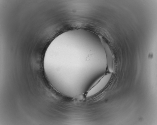 X0000090710416200708171910