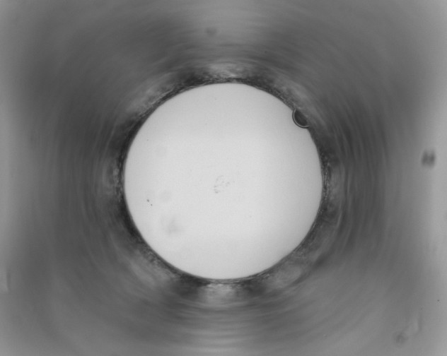 X0000090710418200708171910