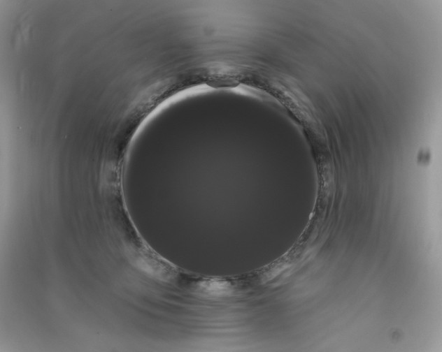 X0000090710419200708171910