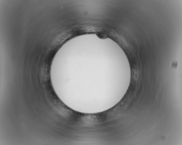 X0000090710422200708171910