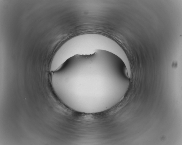 X0000090710423200708171910