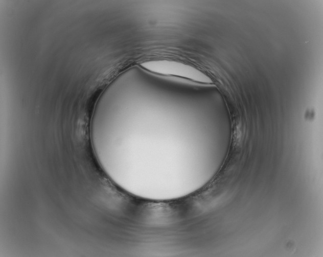 X0000090710424200708171910