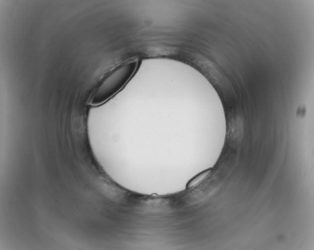 X0000090710426200708171910