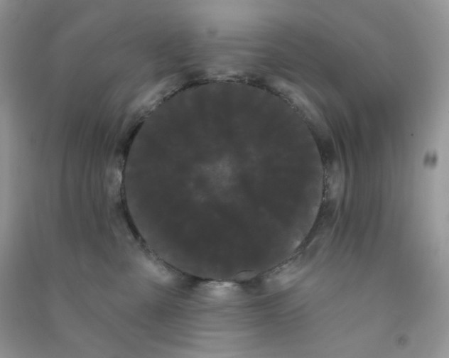 X0000090710427200708171910