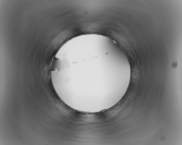 X0000090710428200708171910