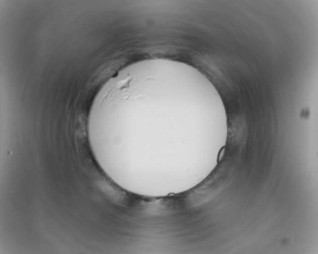 X0000090710430200708171910