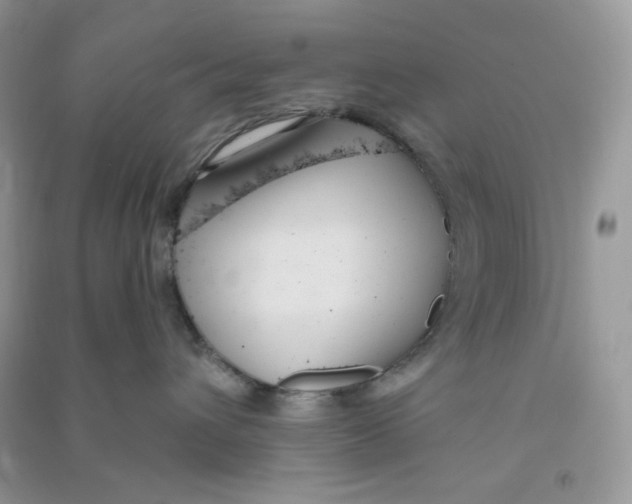 X0000090710432200708171910