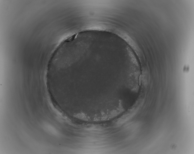 X0000090710434200708171909