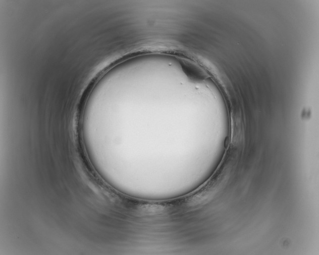 X0000090710435200708171909